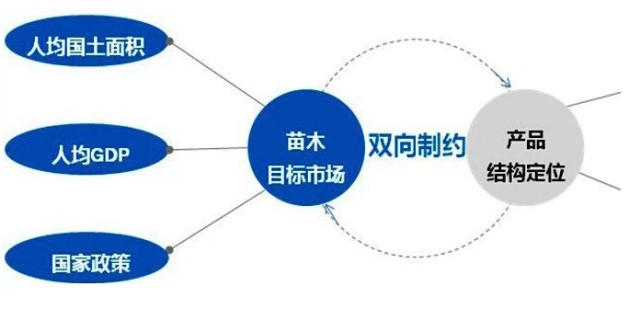 學(xué)習(xí)國外苗木行業(yè)經(jīng)驗，搶先了解國內(nèi)市場動態(tài)